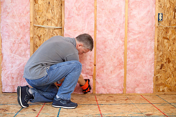 Best Insulation for Specific Applications in Bronte, TX