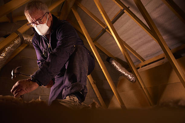 Best Specialized Insulation Services in Bronte, TX